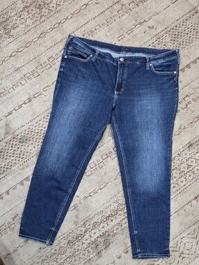 Women’s Dark Blue Silver Jeans Co. Elyse Skinny Size 22x29 Like New